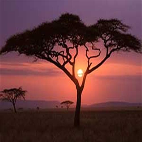 10شب و11روز آفریقای جنوبی